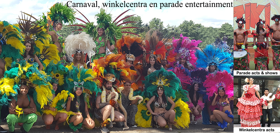 Braziliaanse muzikanten boeken